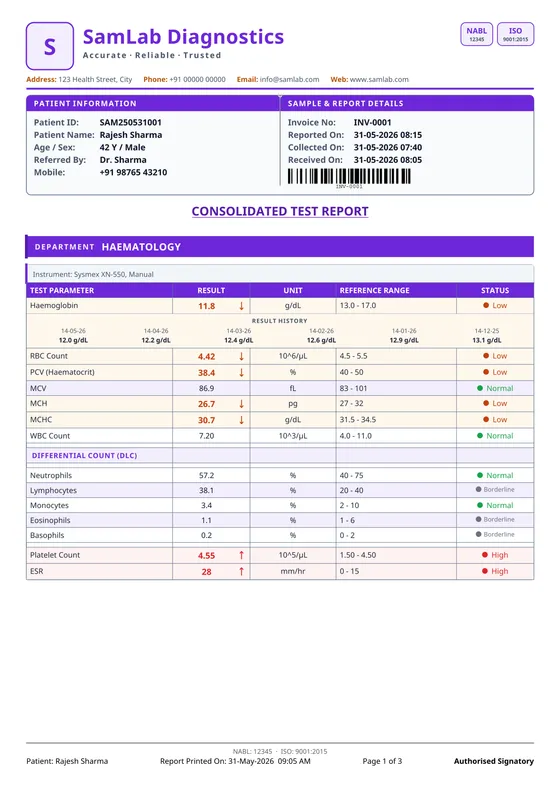 Report in purple