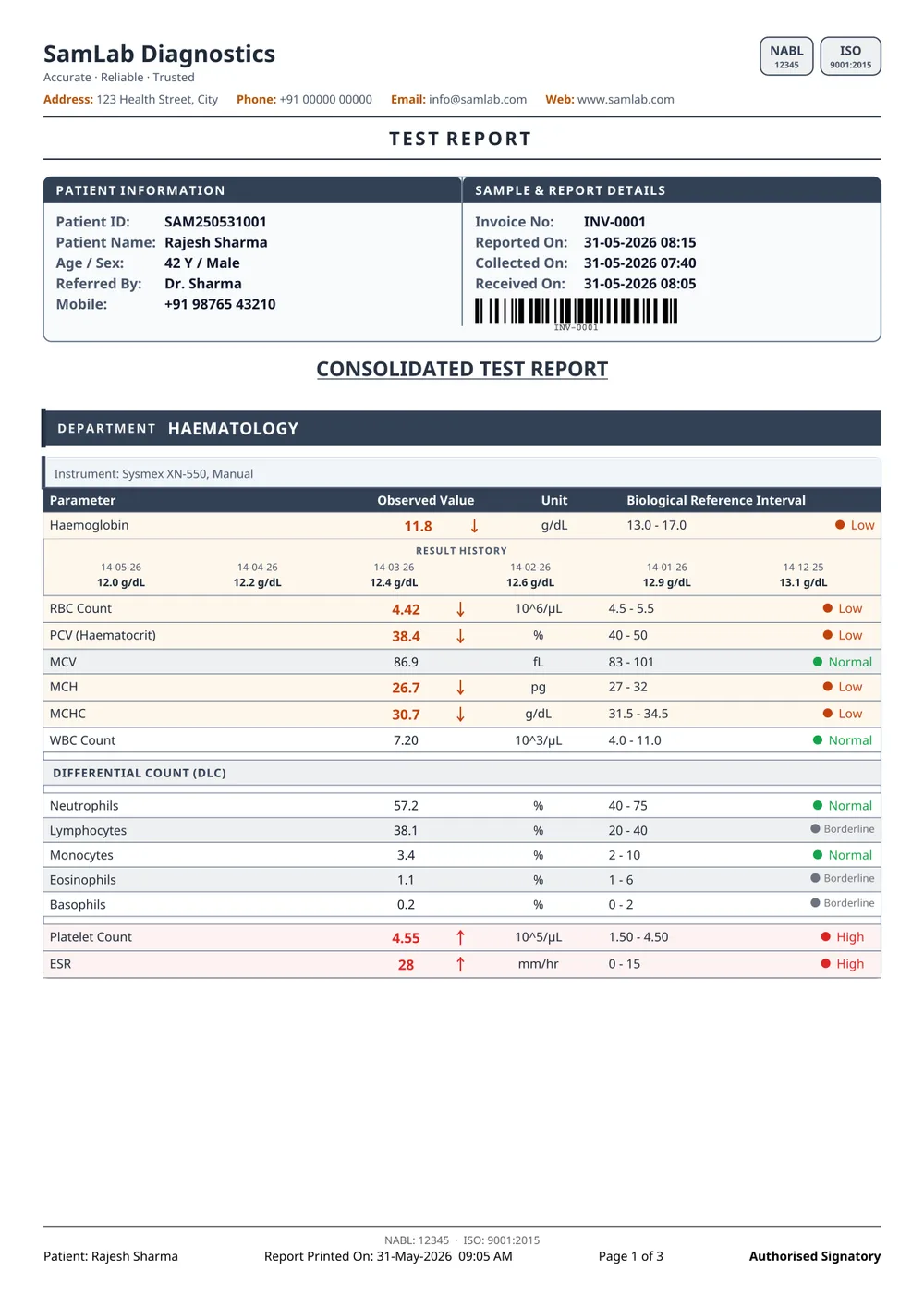 Basic report format — page 1