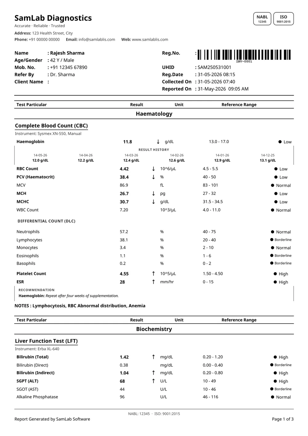 Basic 2 report, black & white print