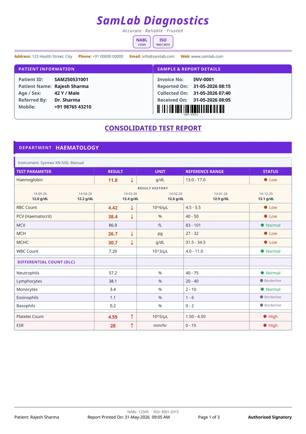 Elegant report format — page 1