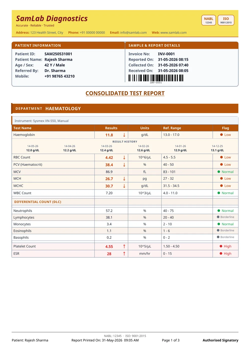Grid 1 report format — page 1