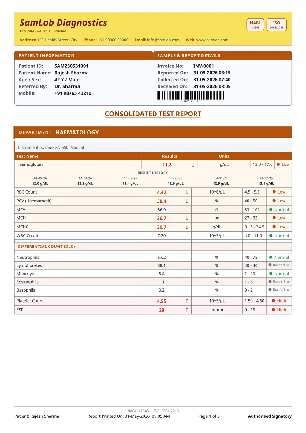 Grid Historical report format — page 1