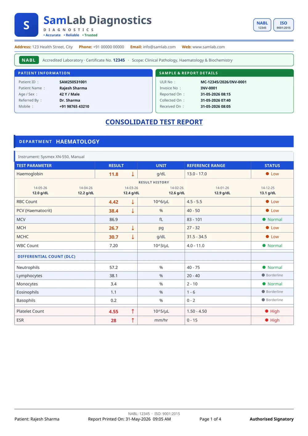 SamLab Modern report format — page 1