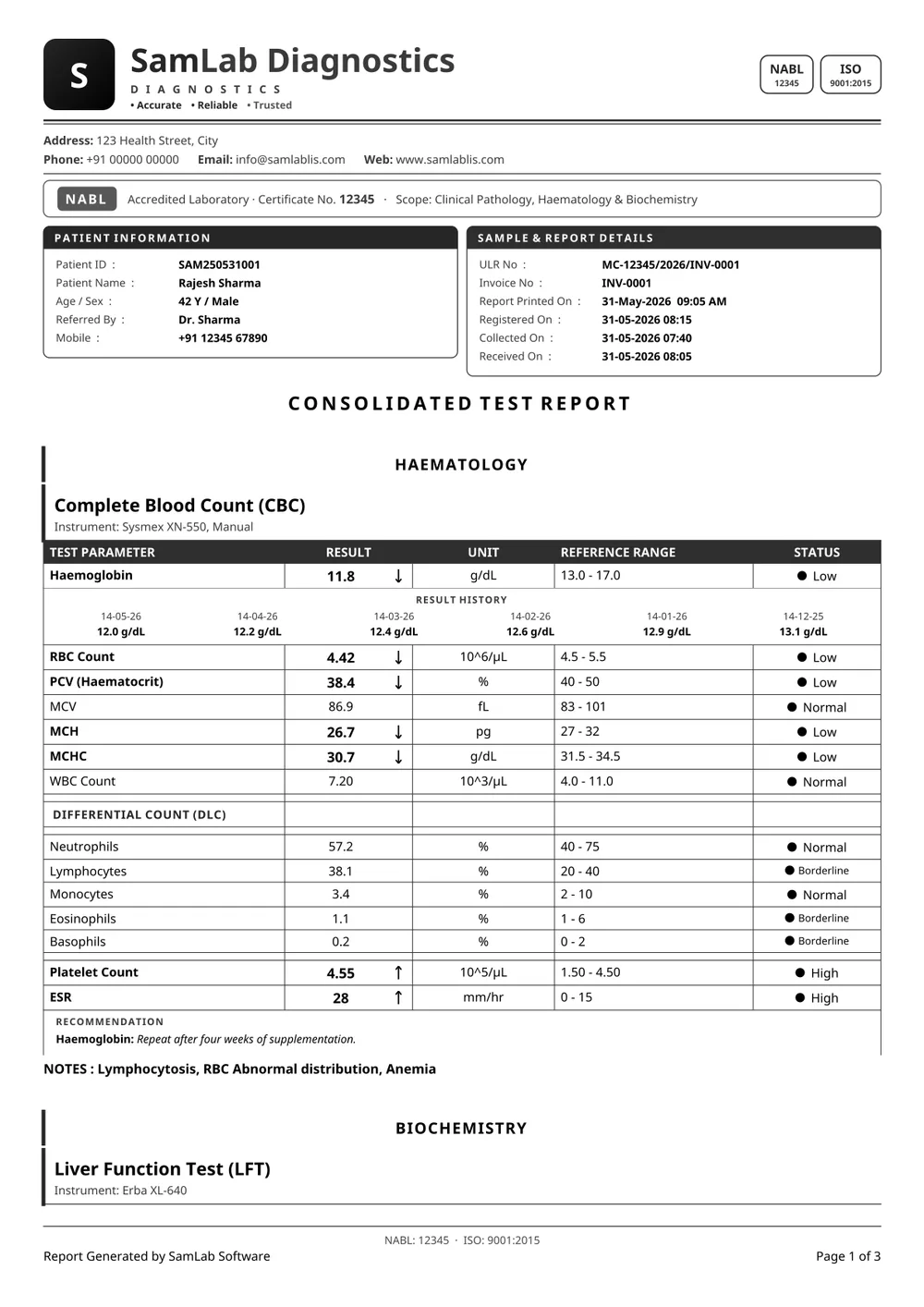 SamLab Modern report, black & white print