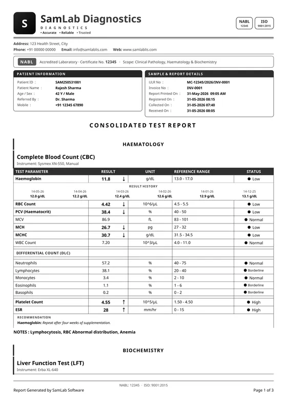 SamLab Modern (black & white) — a report page printed by SamLab