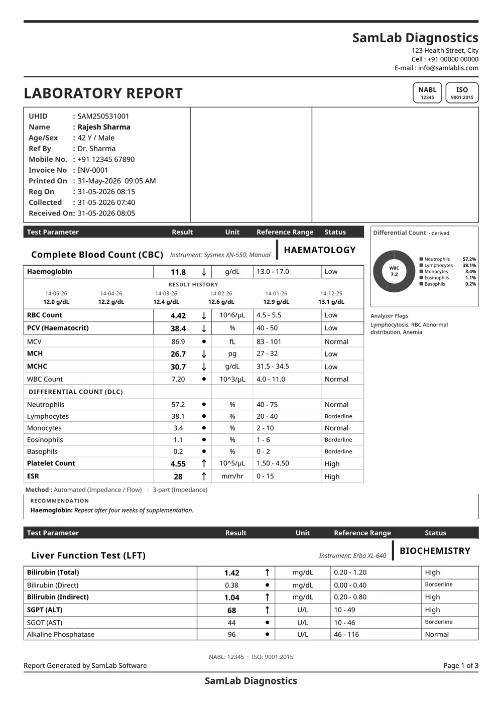 SamLab MSP report, black & white print