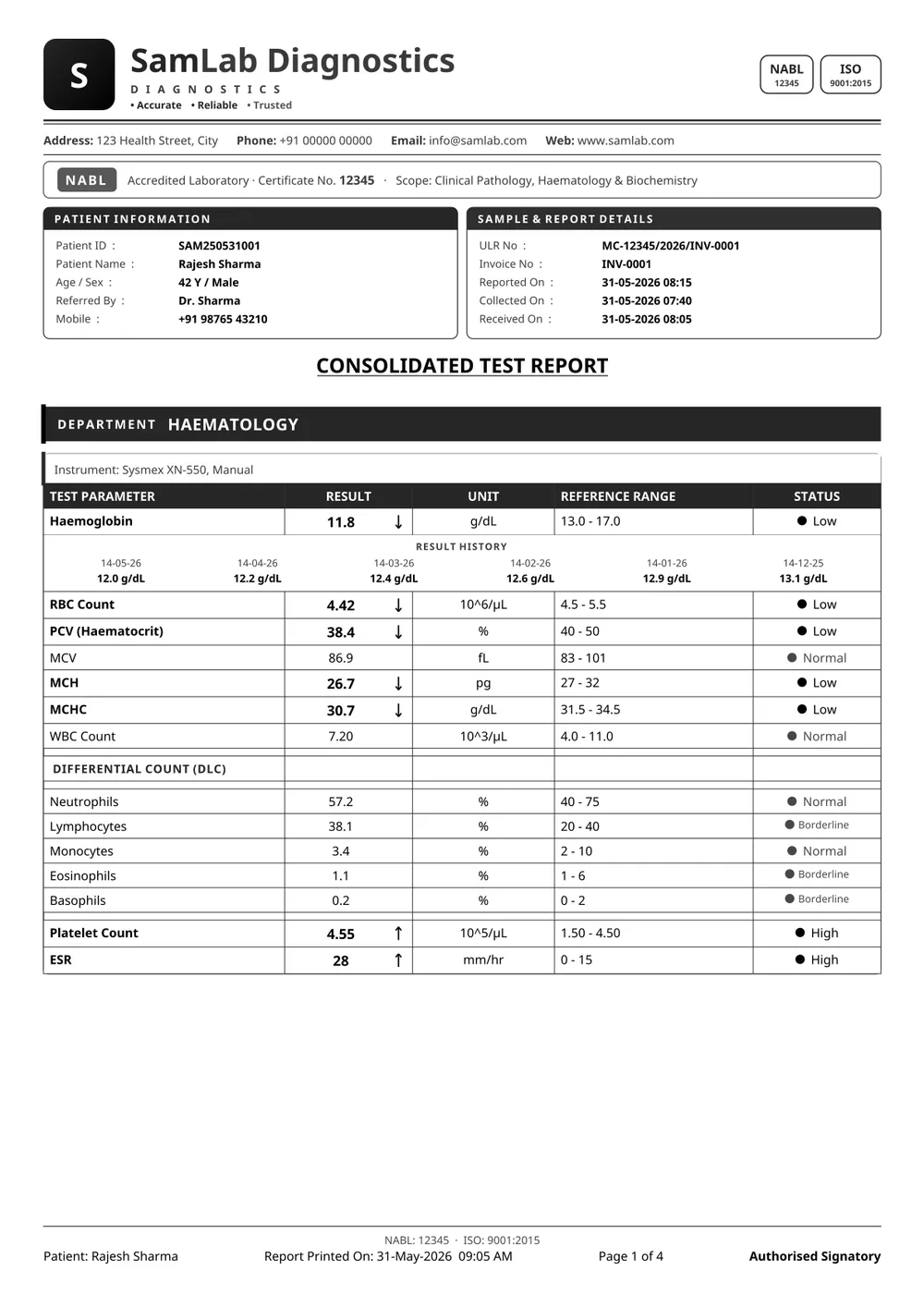 SamLab Modern (black & white) — sample report
