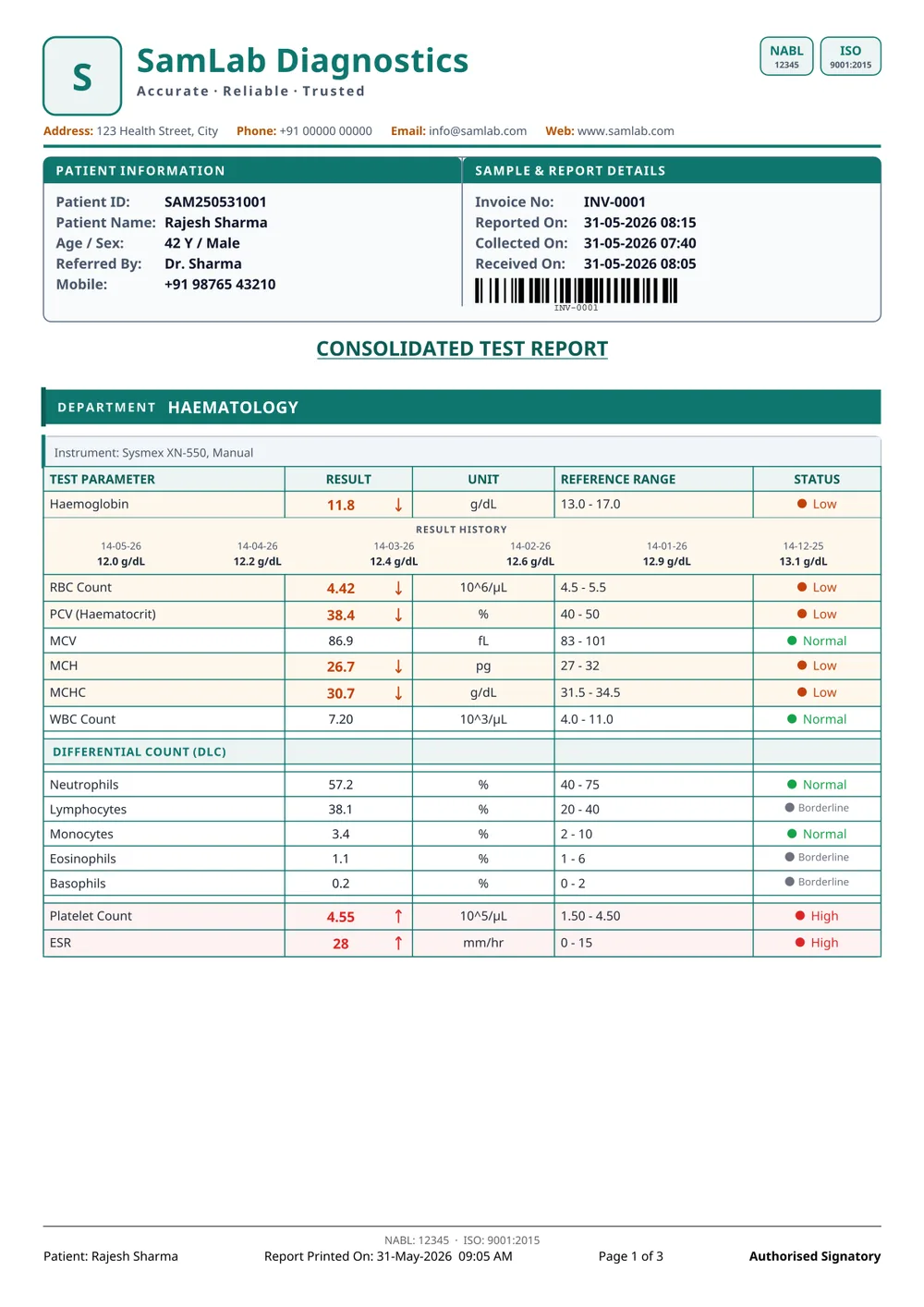 Traditional ruled table — sample report