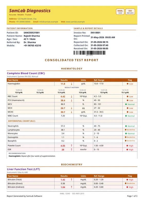 Grid 1 — a report page printed by SamLab
