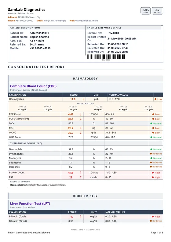 Grid 2 — a report page printed by SamLab