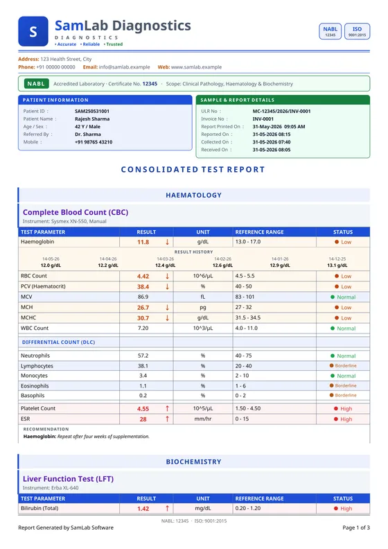 SamLab Modern — a report page printed by SamLab