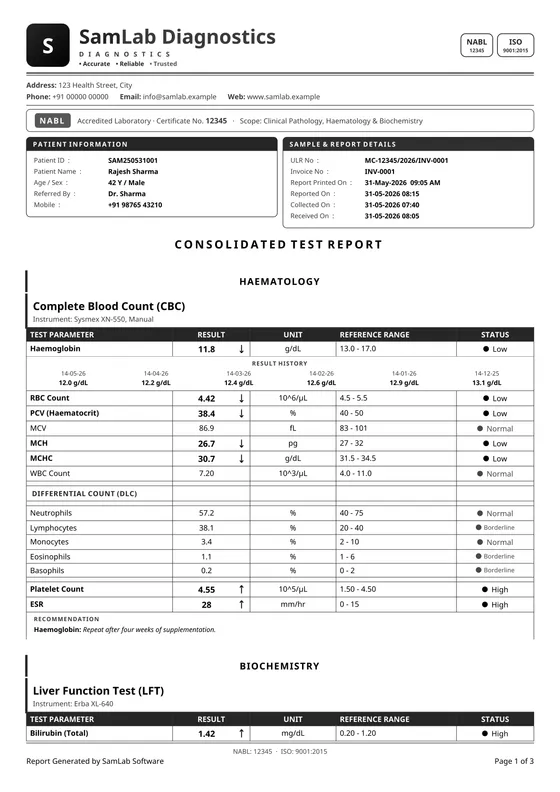 SamLab Modern (black & white) — a report page printed by SamLab